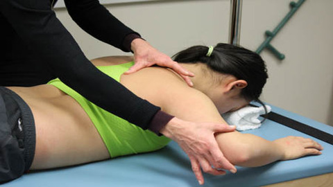 Level 1a - Introduction to Neuromuscular Re-education Exercise: Clinical Skills Labs