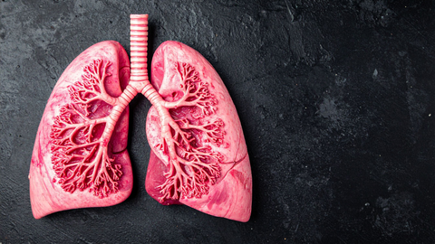 Inspiratory Muscle Training: A Review of Current Evidence for Use in Practice