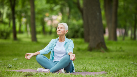 Integrating Mindfulness into Physical Therapy Practice