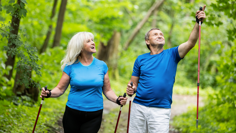 Nature Rx: Foundations of Outdoor Physical Activity Prescription for Older Adults