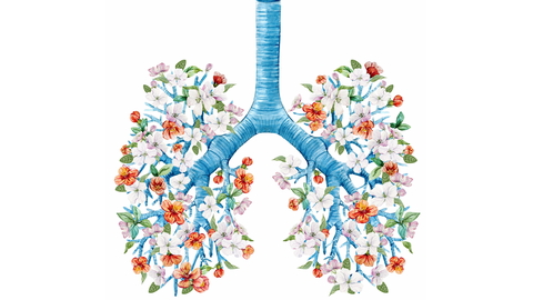 Breathing Essentials - Athletic Performance