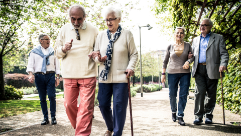 Teaching Falls: A Road Map to Improving Function in Parkinson’s and Older Adult Populations