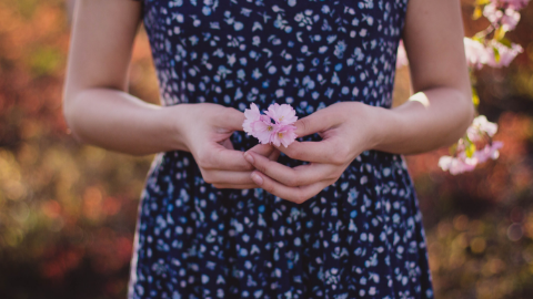 Prolapse, Pessaries, and Pelvic Health Physiotherapy