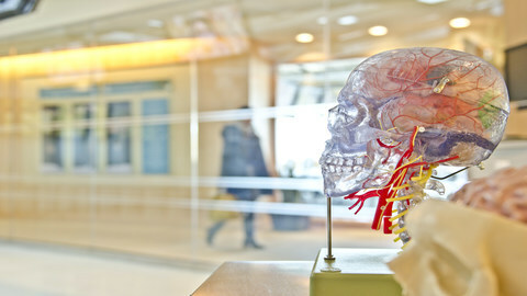 An Impairment Based Approach to Concussion Assessment and Rehab