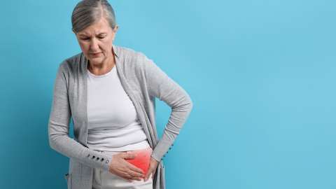 Managing Hip and Knee Osteoarthritis in Canada: Physiotherapists Leading the Way