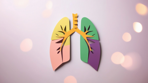 Sex Differences in Respiratory Physiology - Current Thoughts & Future Directions