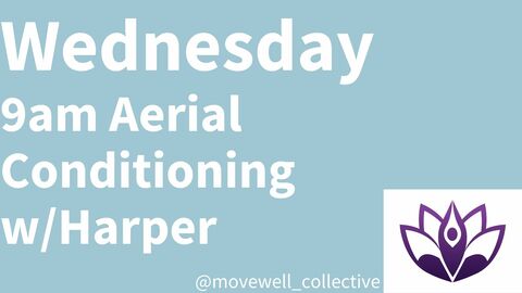 Wednesday 9am Aerial Yoga & Conditioning