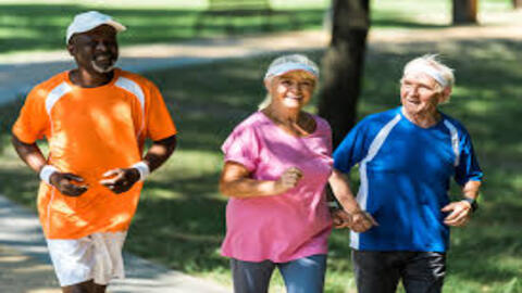 SHD + NSD Teaching Falls: A road map to improving function in Parkinson’s and older adult populations.