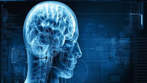 The Power of Emotional Intelligence