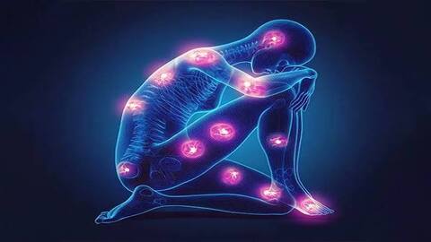 ADN: Pain Phenotypes in Clinical Practice: From Recognition to Rehabilitation