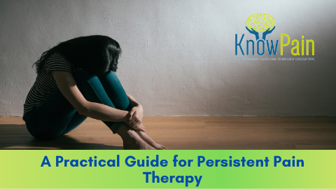 A Practical Guide for Persistent Pain Therapy