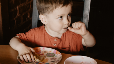 Nutritional Implications and Interventions for Children with Autism Spectrum Disorder (ASD)