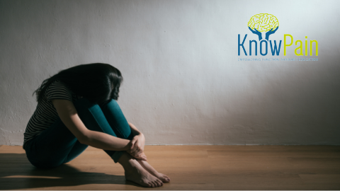 A Practical Guide for Persistent Pain Therapy