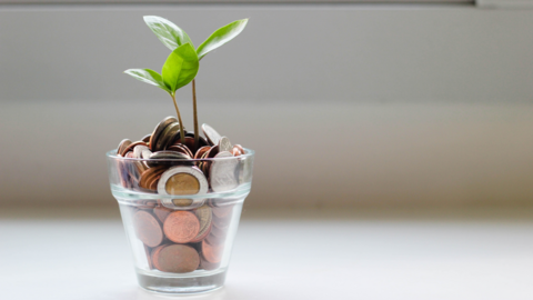 Becoming Pandemic Proof Through Financial Literacy